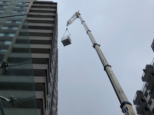 Grue